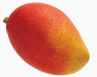 Loja de teste001
